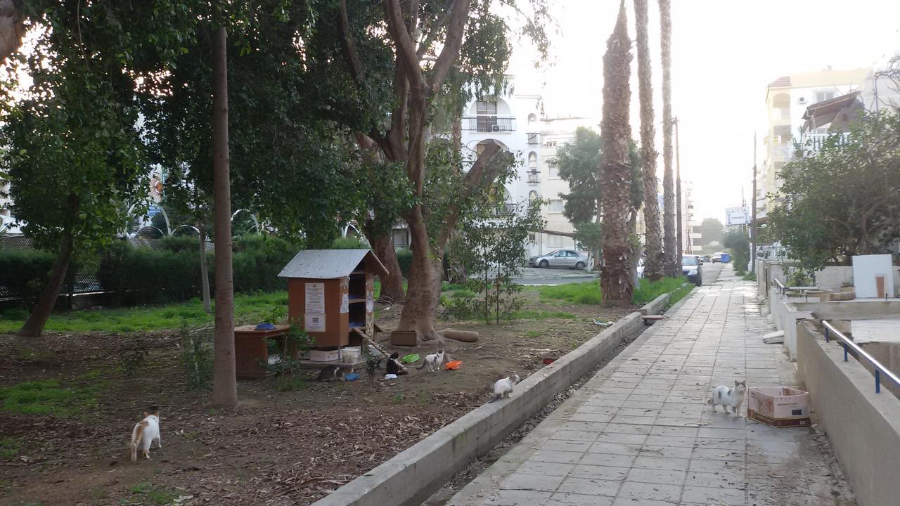 Lca2 Flat For You Apartment Larnaca Exteriör bild